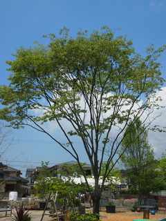 P1012878