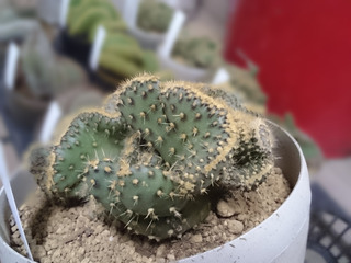 20160219_184950