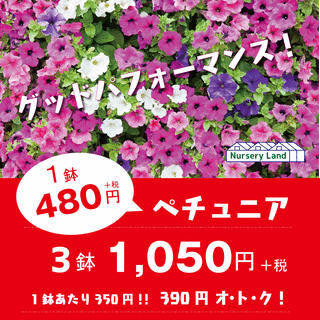 12AC0C80-52DC-4A25-A290-0A0CAF82B14B