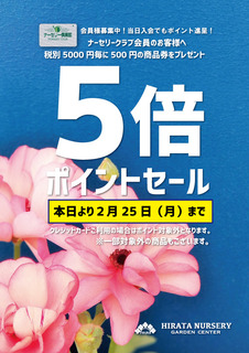B4D6EB37-9066-498A-88F1-13A558BC0FEA