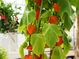 P1015489