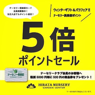 8F7CC6E7-441E-484E-A3EE-0AB880FA33CB