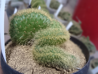 20160219_184831