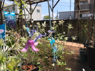 20180920_125826