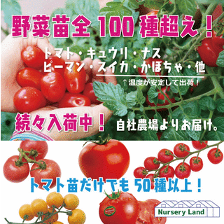 DFA3BF6B-4D59-4D0F-A36B-5C1D4BDB8A8F