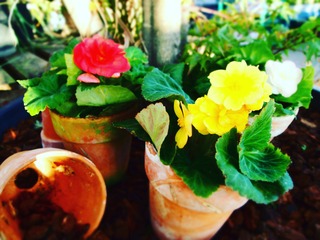 IMG_20170904_085157_475