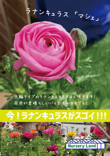 8B4786C7-C4A4-498D-BFB4-02C247ED1F21