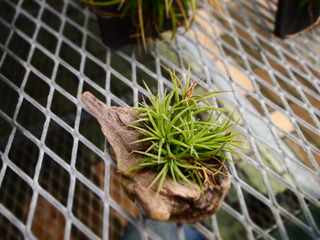 P1015453