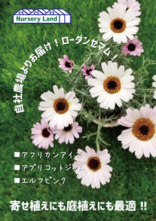 C5D7CE6D-CB25-4517-9183-EA8679026F78