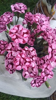 20170424_170014