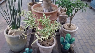 20170520_074500