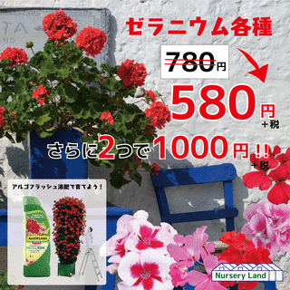 331B8E26-2D07-4288-BEA7-7D9BD51E1939