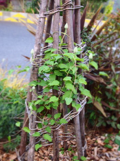 P1012408