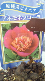 201110251718000
