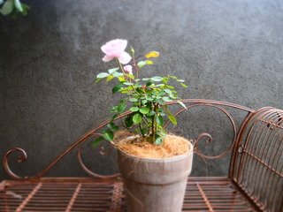 P1012417