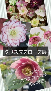 F4994CAF-5925-41F7-860F-23C42FA3A874
