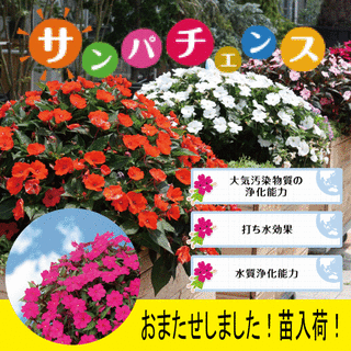 0A664AC2-0A96-4E0C-9D1B-8D6E010ECED4