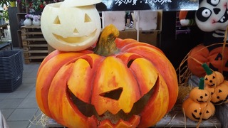 20171008_113712