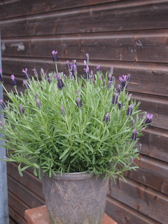 P1012202