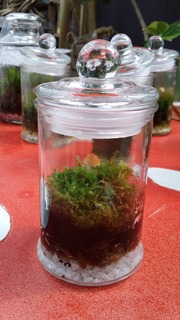 20160804_094540