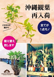495D2281-32F3-4BED-A83E-839CBDD8557B