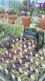 201110221553000