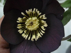 P1100760