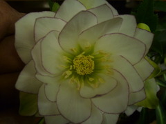 P1100754