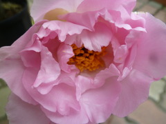 P1090940