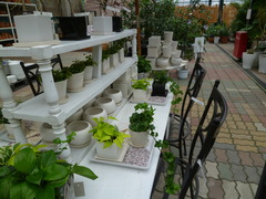 P1100295