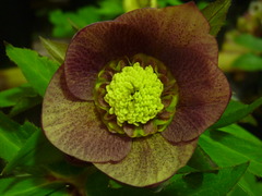 P1100749