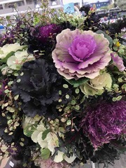 IMG_1373