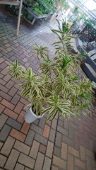 IMG_20170727_124954