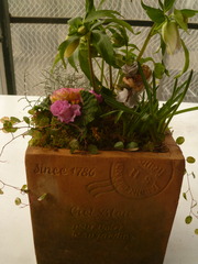 P1100715