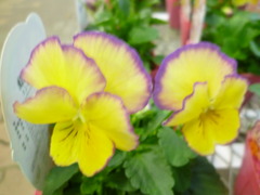 011