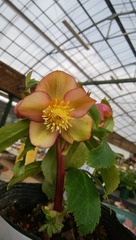IMG_20180206_122315