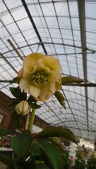 IMG_20180206_122351