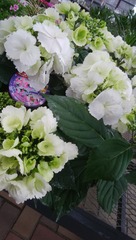 IMG_20180216_133156
