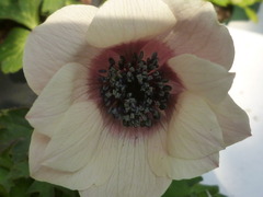 P1100851