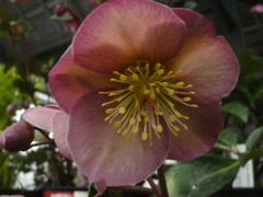 P1100752