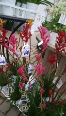 IMG_20180216_133024