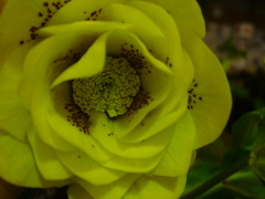 P1100746