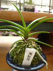 P1100595