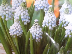 P1100552