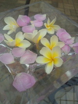 2011060508370000