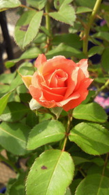 2010102009370000