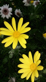 987905a6.jpg
