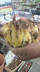 2010102417350000