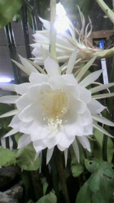 2010092421130000