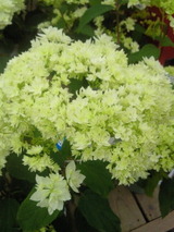2011051209400000